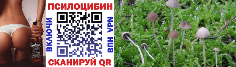 Псилоцибиновые грибы ЛСД  сколько стоит  OMG зеркало  сайты даркнета официальный сайт  Салехард 