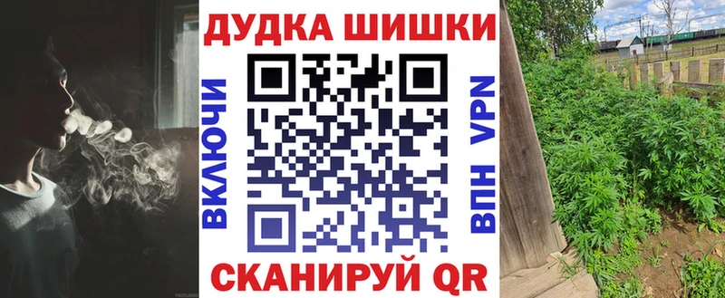 магазин  наркотиков  Салехард  Марихуана сатива 
